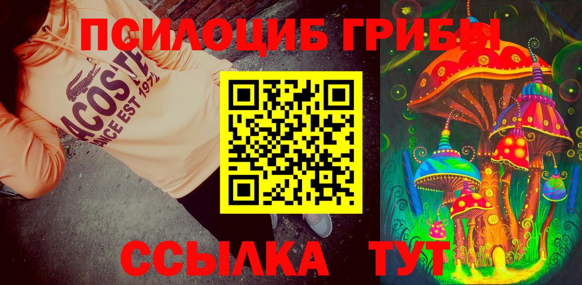 Галлюциногенные грибы мухоморы  где продают наркотики  Павлово  Вход с VPN 