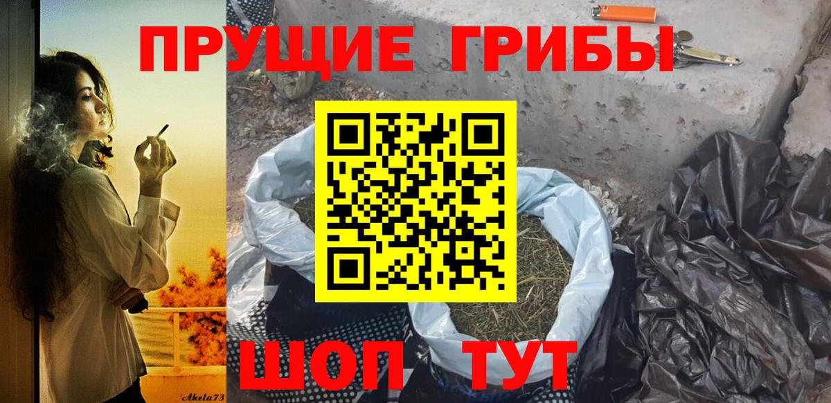 Галлюциногенные грибы Cubensis Павлово