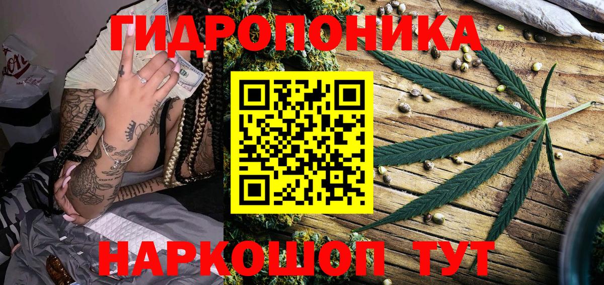 Бошки Шишки OG Kush  Канабис THC 21%  Конопля планчик  Вход с VPN  Павлово  Каннабис план 